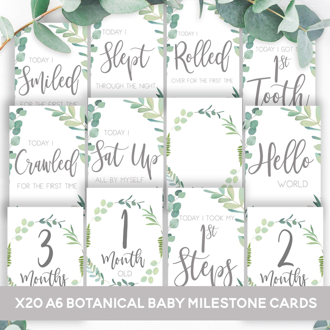 Botanical Green Baby Milestone Cards