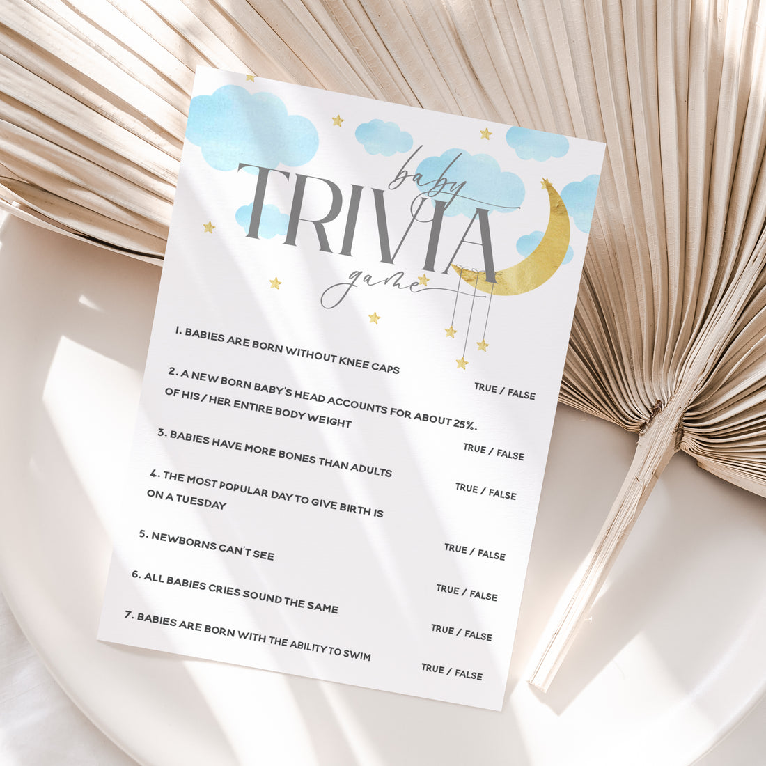 Whimsical Baby Boy Blue Baby Trivia Cards