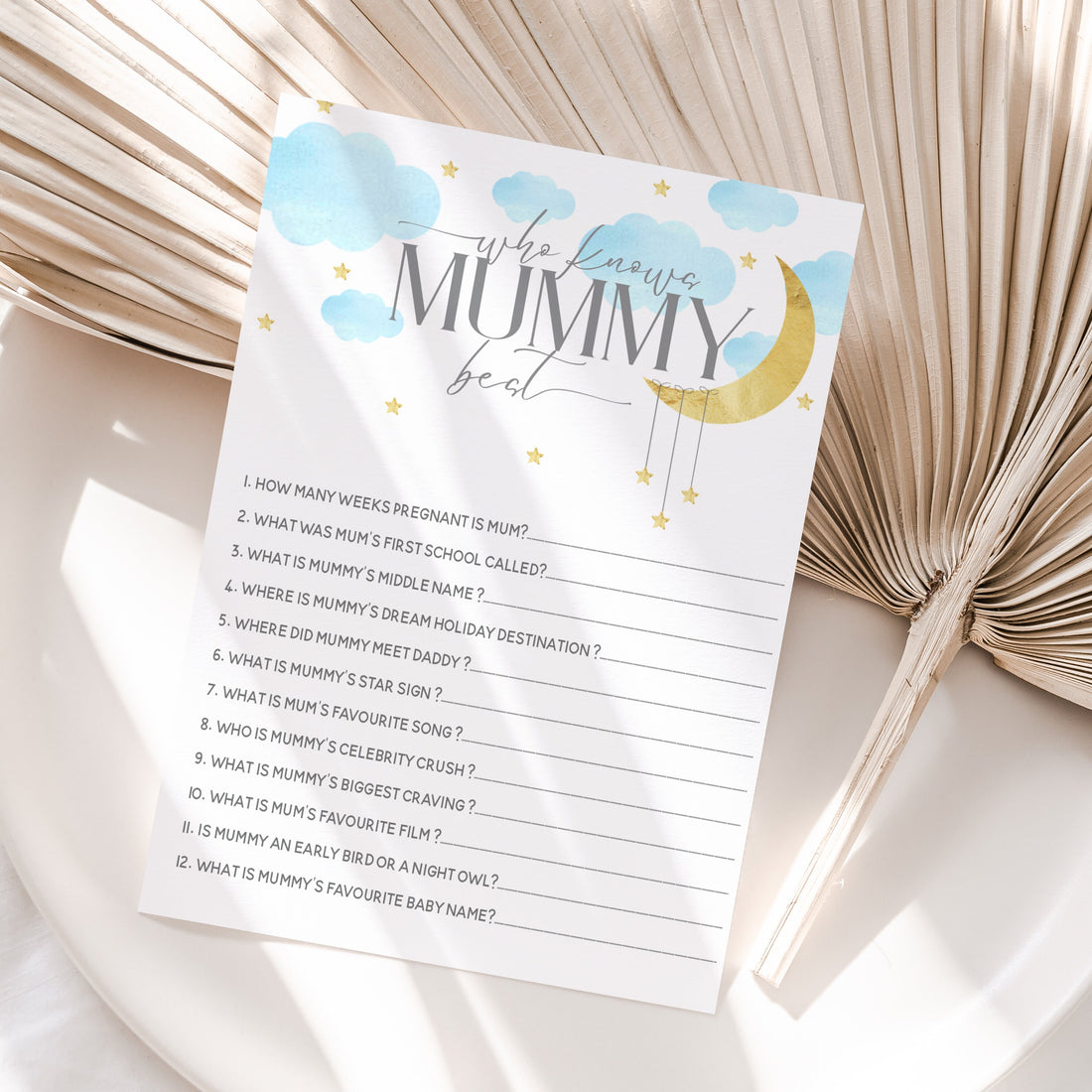 Whimsical Baby boy blue Who Knows Mummy Best Cards